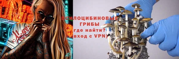 ПСИЛОЦИБИНОВЫЕ ГРИБЫ Алексин