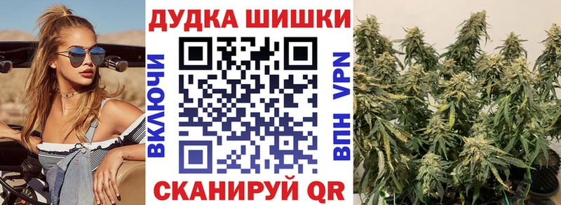Бошки Шишки SATIVA & INDICA  мега ссылки  Нефтегорск 